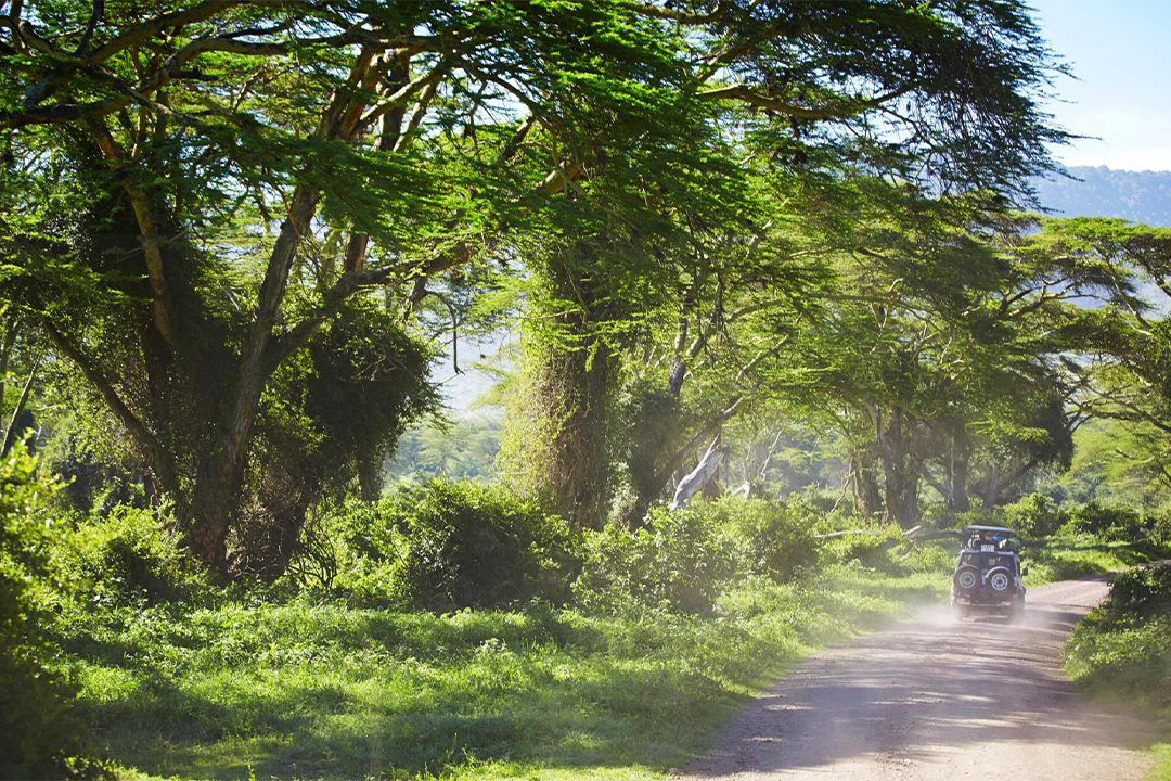 Arusha National Park