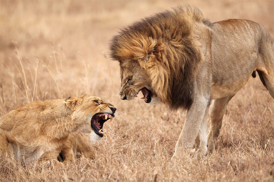 Serengeti National Park