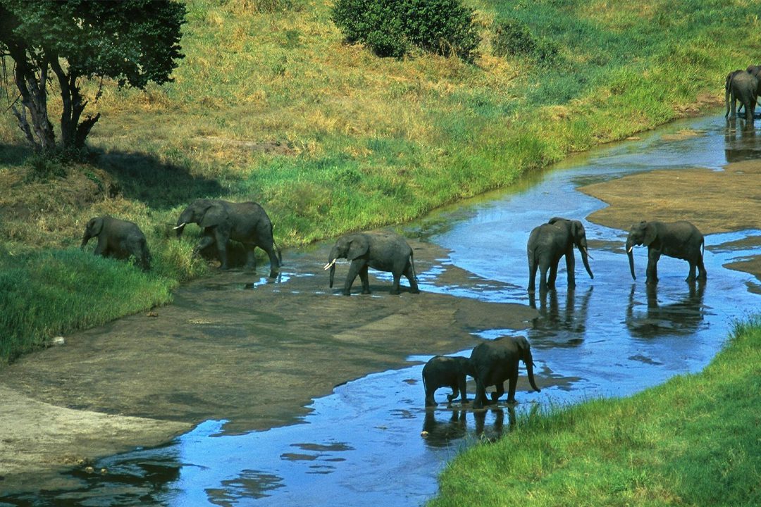 Tarangire National Park