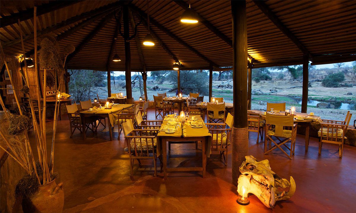 Ruaha River Lodge 9