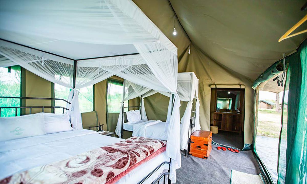 Serengeti Heritage Luxury Camp 1