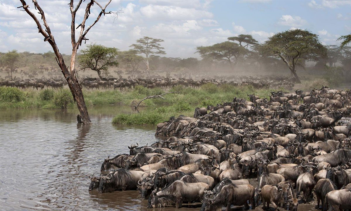 great migration