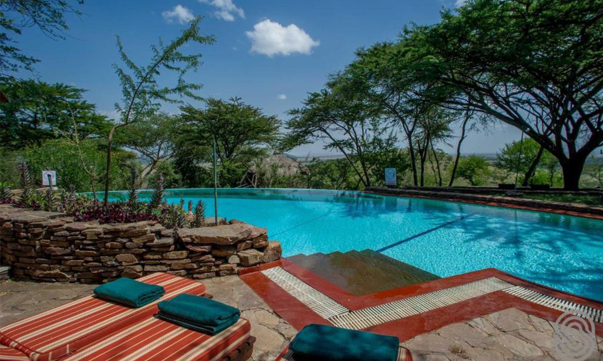 serengeti serena lodge