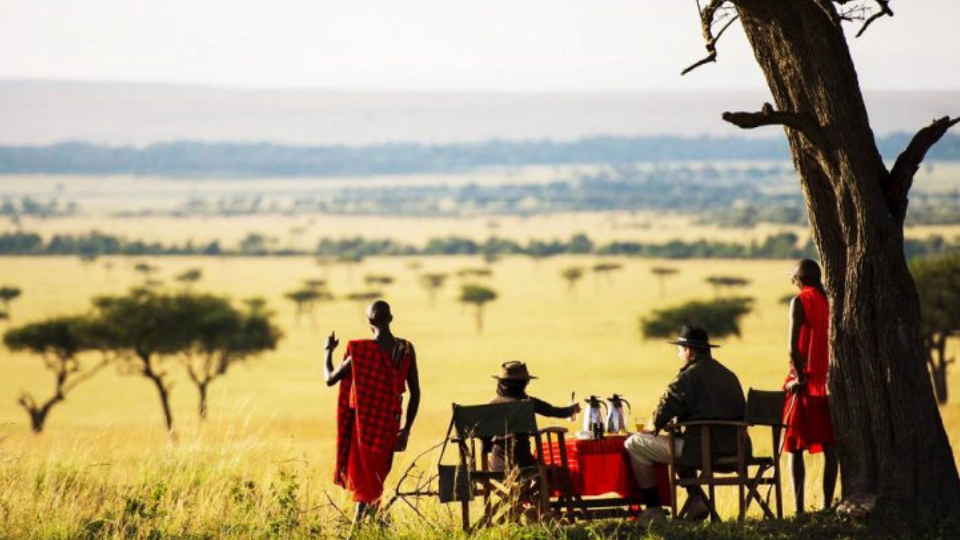 Maasai Mara safaris