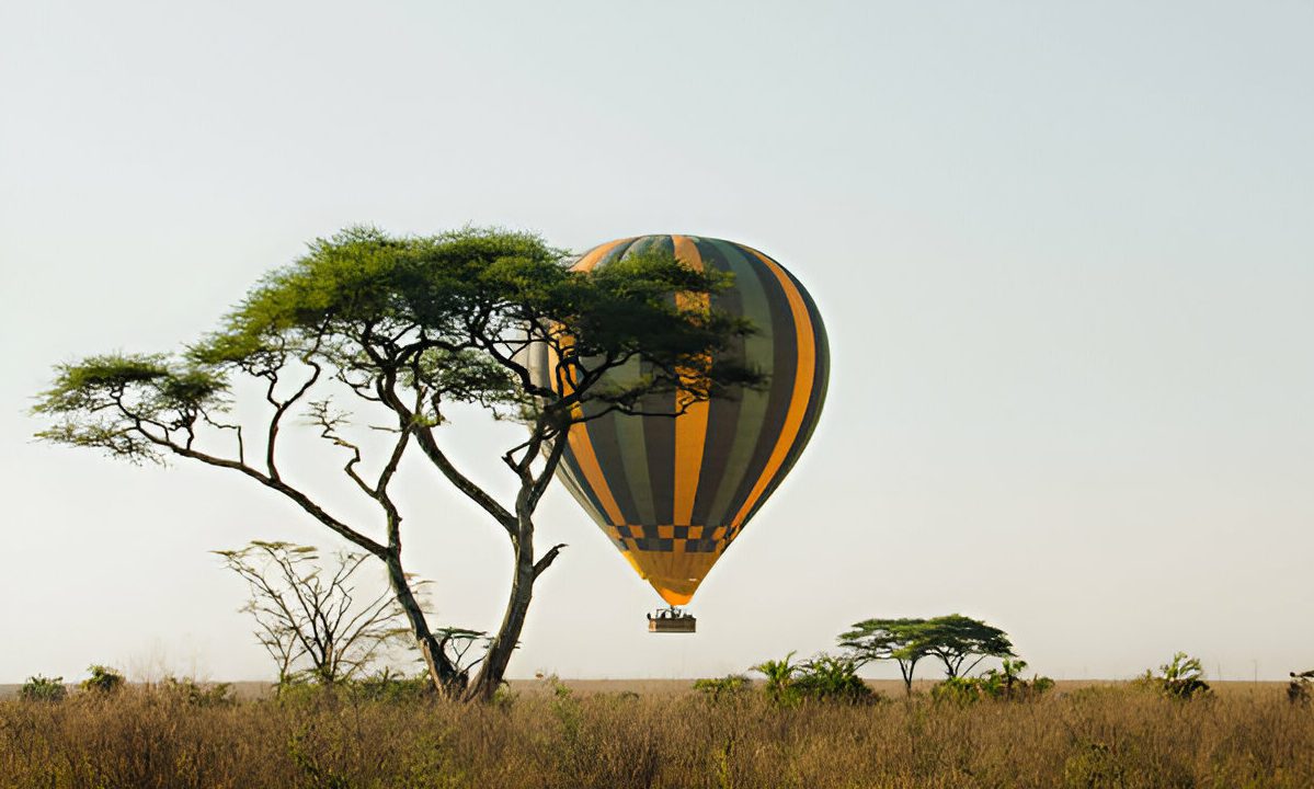 4 Days Tanzania Wildlife & Hot Air Balloon Safari