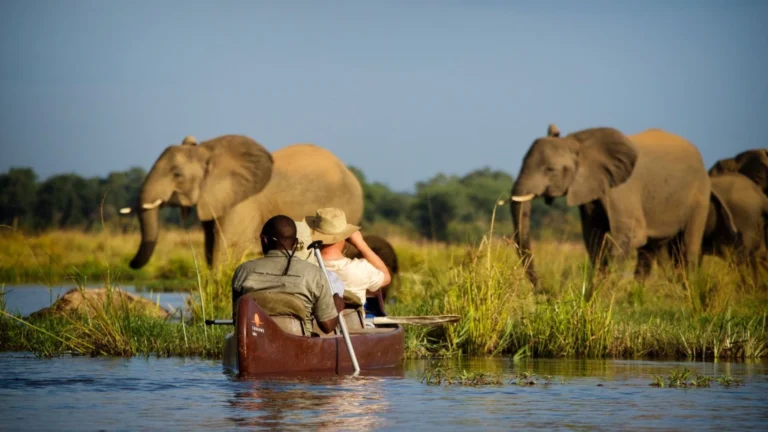 canoe-activity