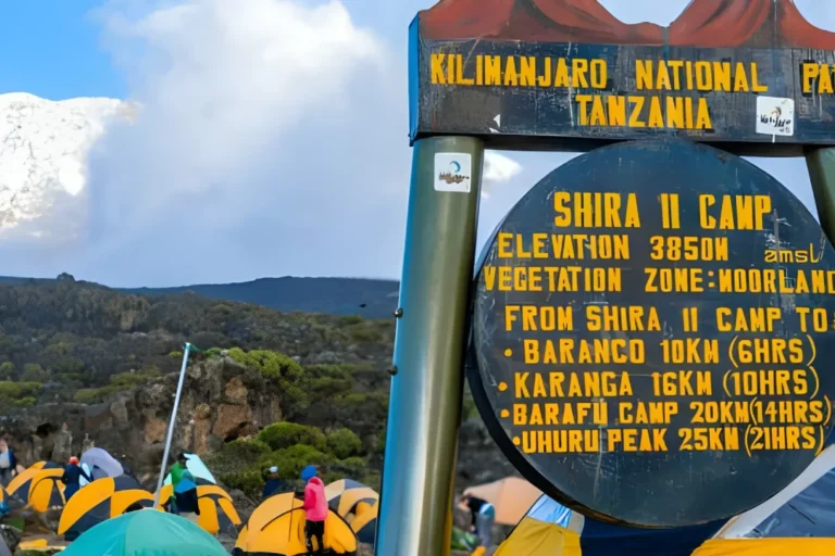 Kilimanjaro4