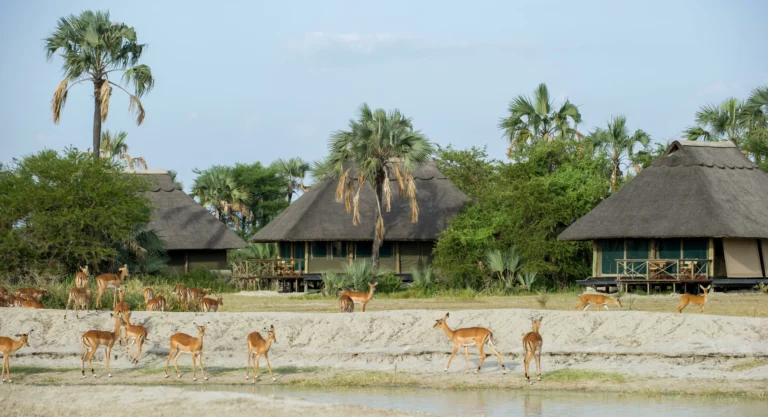 Maramboi-Tented-Lodge_7-scaled