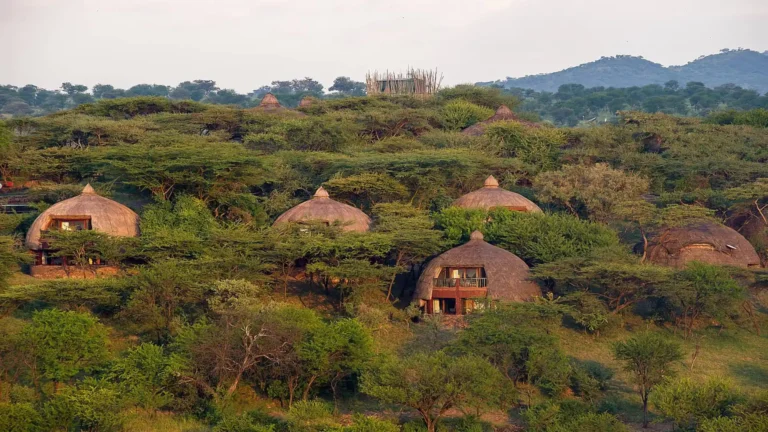 serengeti serena safari lodge2