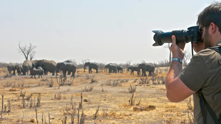 27-imvelo-safari-lodges-camelthorn-lodge-elephant-photography-at-mandiseka-pan