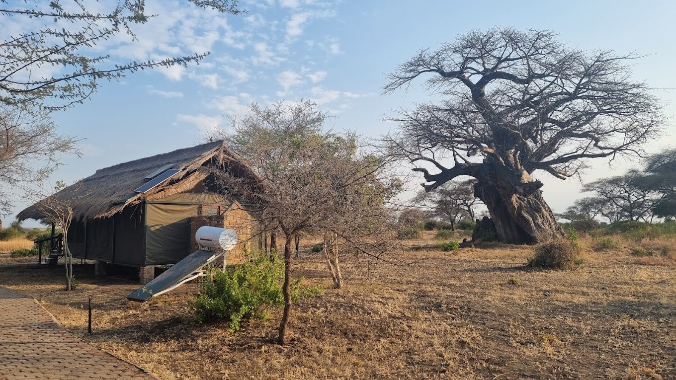 Tarangire Simba Lodge1