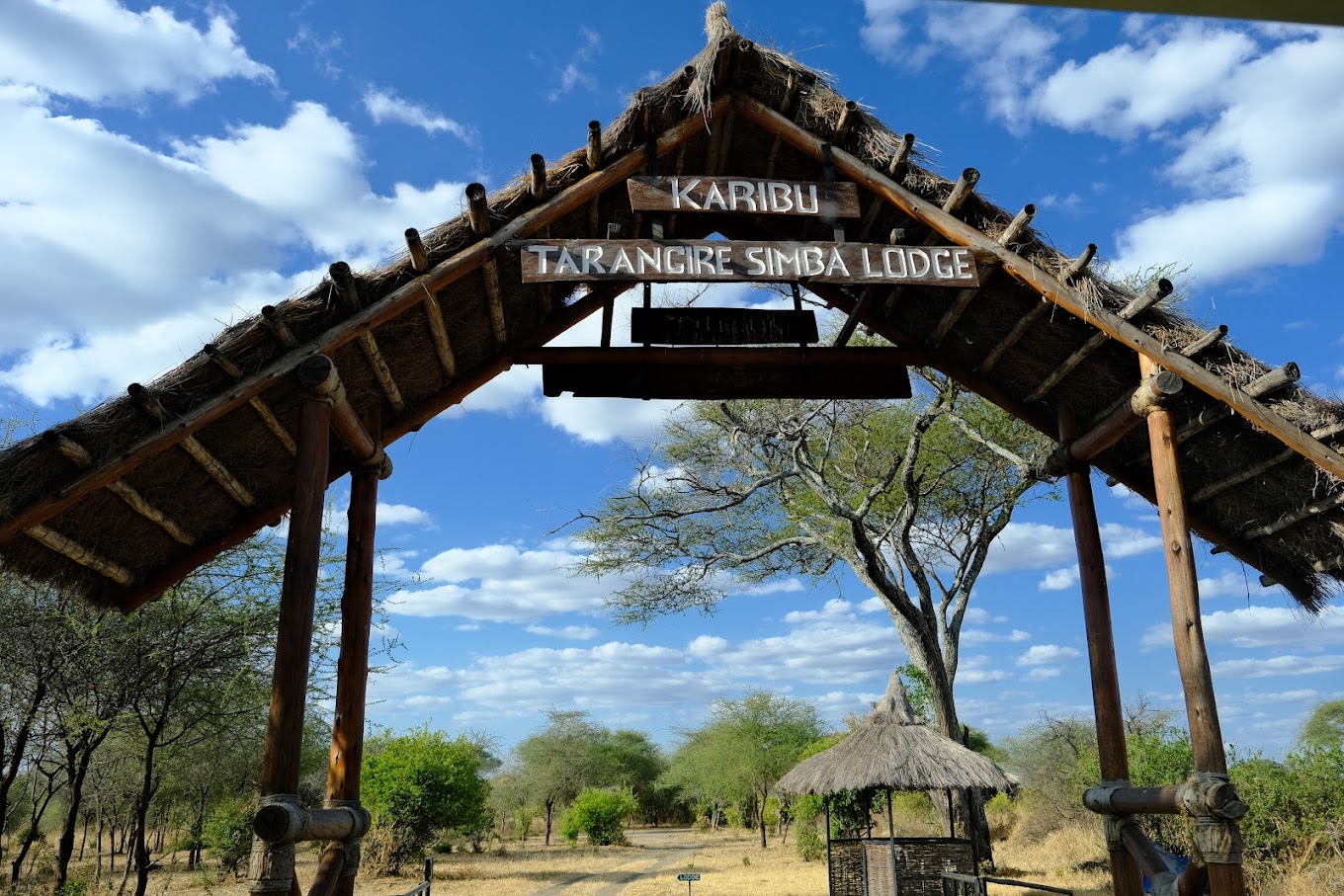 Tarangire Simba Lodge2