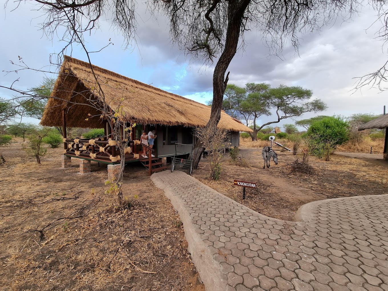 Tarangire Simba Lodge8