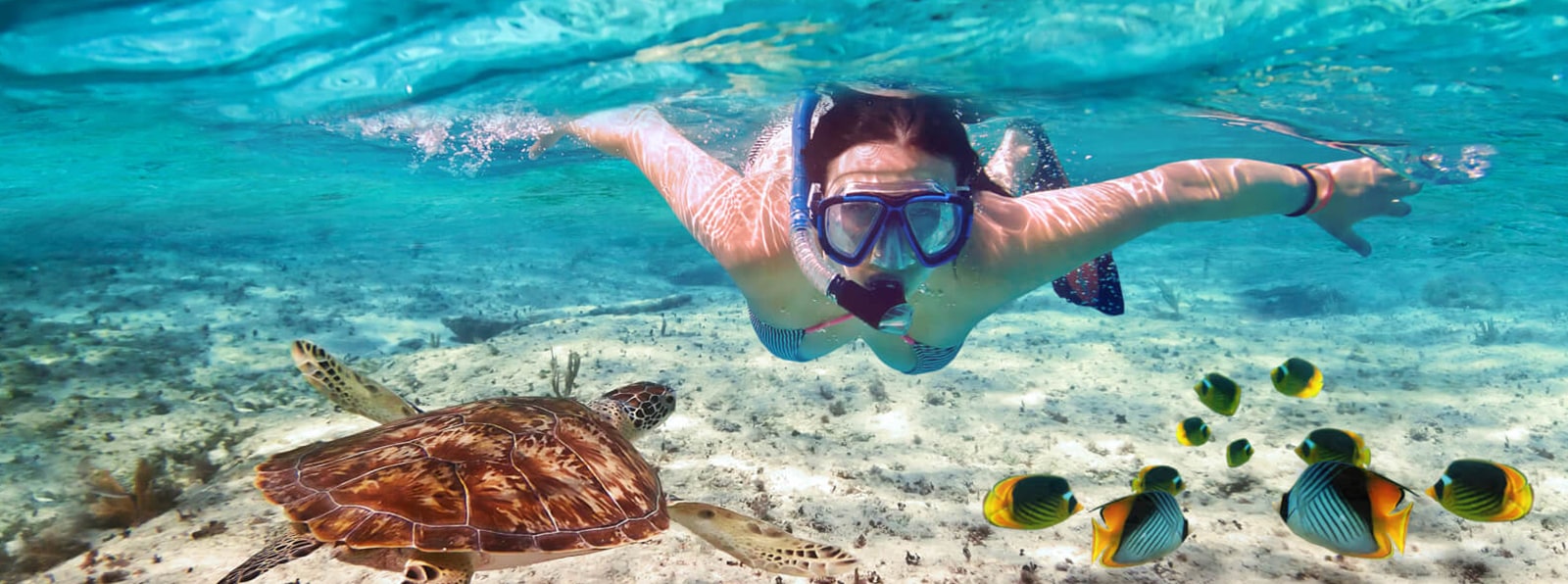 Snorkeling at Mnemba Atoll