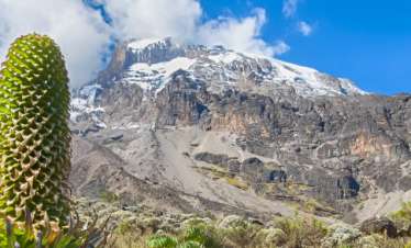 6 Days Kilimanjaro Lemosho Route