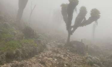 6 Days Kilimanjaro Rongai Route