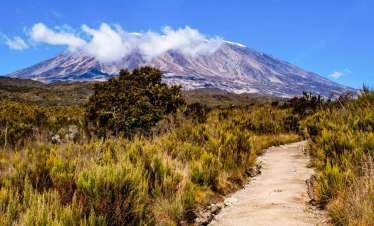 6 Days Kilimanjaro Rongai Route