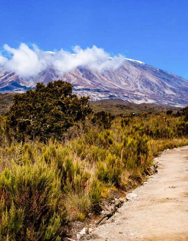 6 Days Kilimanjaro Rongai Route