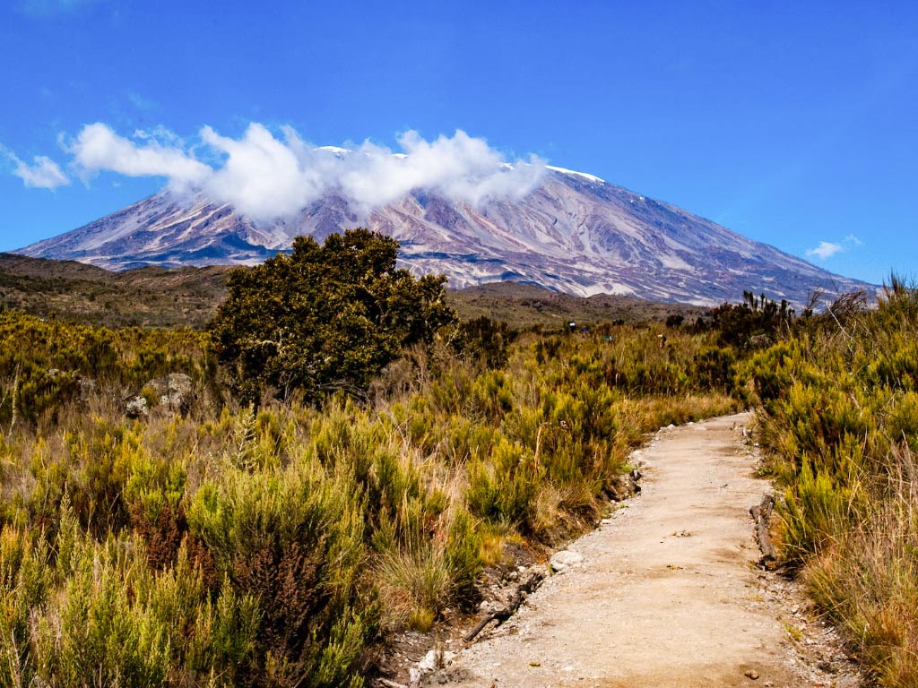 6 Days Kilimanjaro Rongai Route