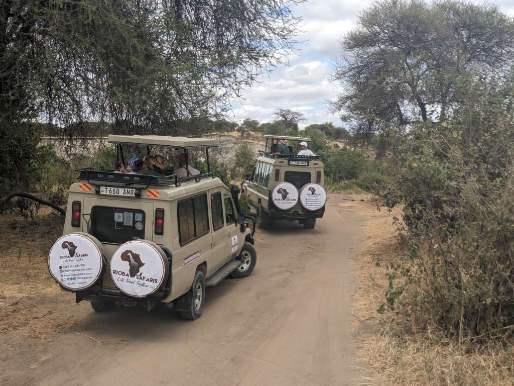 7 Day Tanzania Luxury Safari Experience