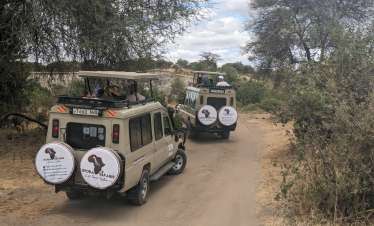 7 Day Tanzania Luxury Safari Experience