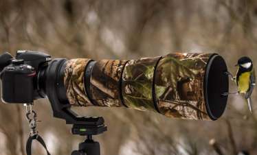Birding