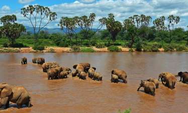 Tarangire