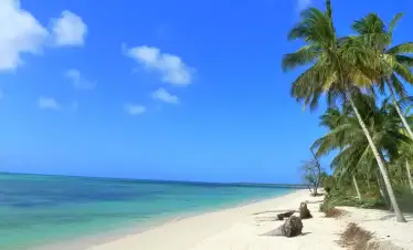 Mafai