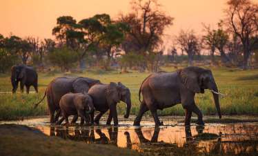 Tarangire