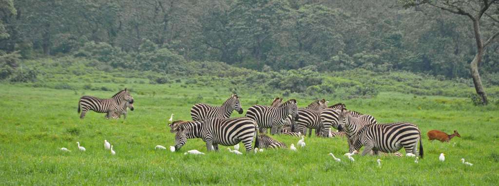 Arusha National Park