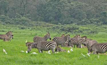 Arusha National Park