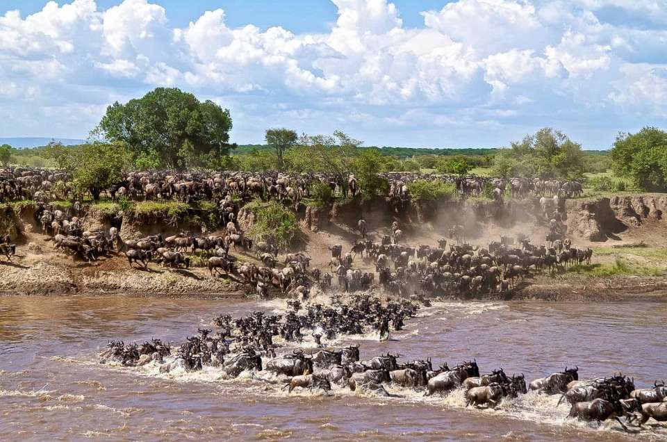 Maasai Mara