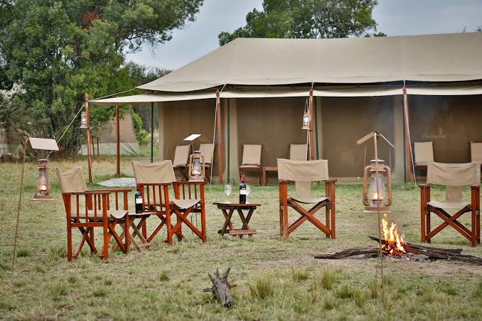 Kenzan Migration Camp
