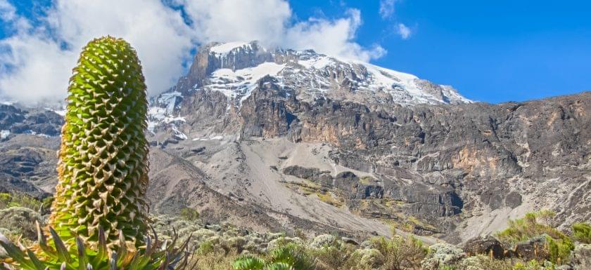 6 Days Kilimanjaro Lemosho Route