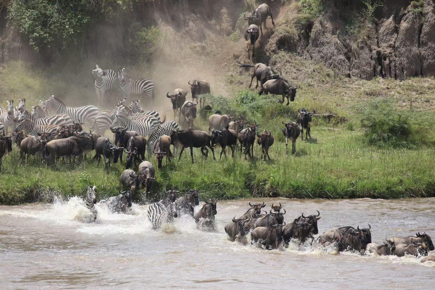 When is the best time for a safari in Tanzania ?
