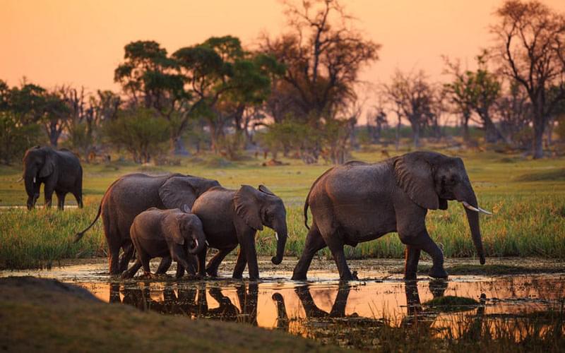 Tarangire