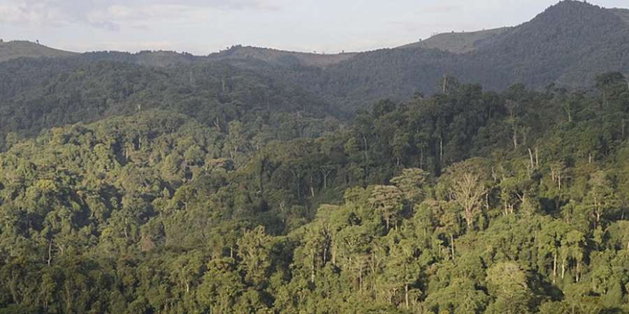 Gishwati-Mukura National Park