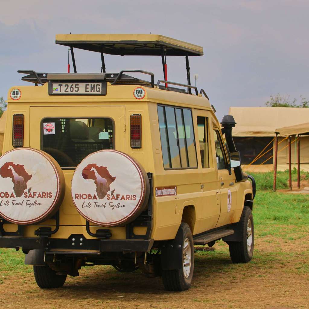 When is the best time for a safari in Tanzania ?