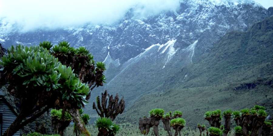 Rwenzori Mountains National Park