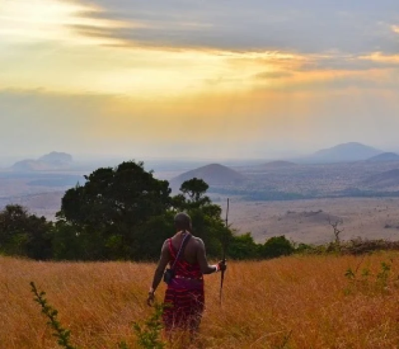 nature walk masaimara