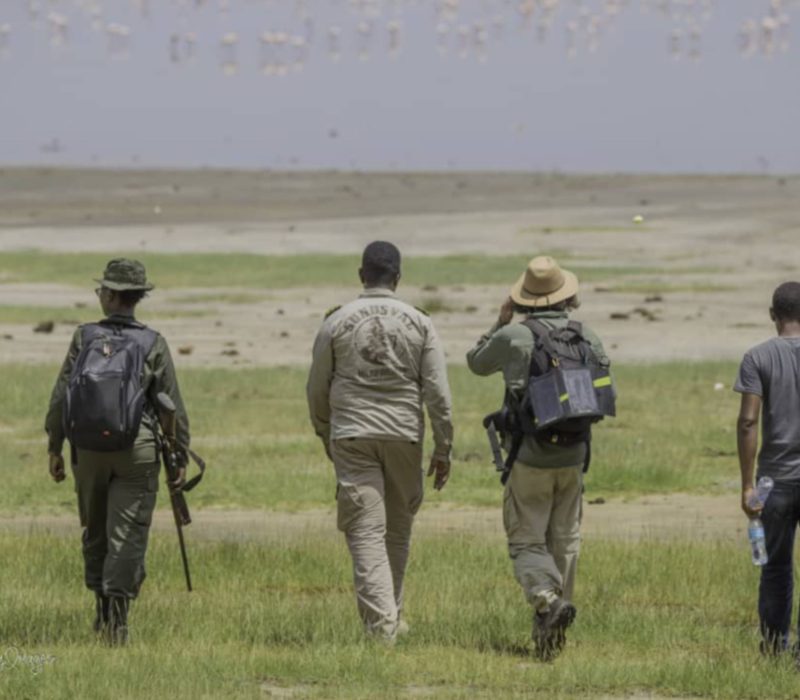 walking manyara